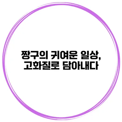 짱구의 귀여운 일상, 고화질로 담아내다