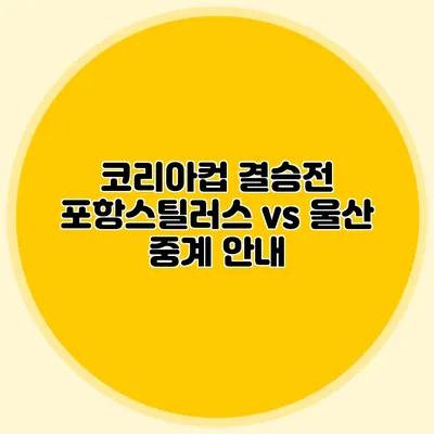 코리아컵 결승전 포항스틸러스 vs 울산 중계 안내