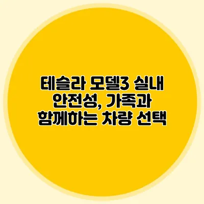 테슬라 모델3 실내 안전성, 가족과 함께하는 차량 선택