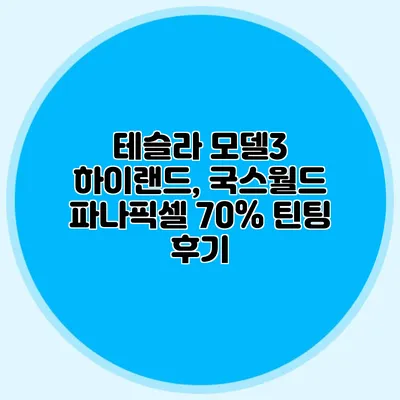 테슬라 모델3 하이랜드, 국스월드 파나픽셀 70% 틴팅 후기