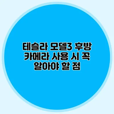 테슬라 모델3 후방 카메라 사용 시 꼭 알아야 할 점