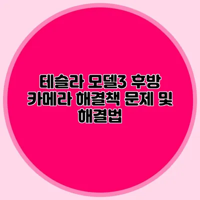 테슬라 모델3 후방 카메라 해결책 문제 및 해결법