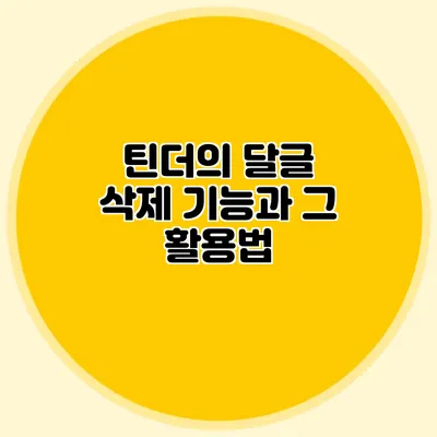 틴더의 달글 삭제 기능과 그 활용법